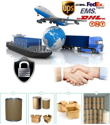 Fasoracetam NS-105 LAM-105 Powder Memory Enhancer Antidepressant Nootropic