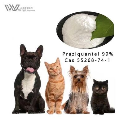 Cas 55268-74-1 Anthelmintic Praziquantel 99% Powder For Antiparasitic