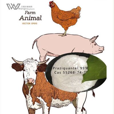 99% USP36 Pure Ivermectin Powder Anti Intestinal Parasites Cas 70288-86-7