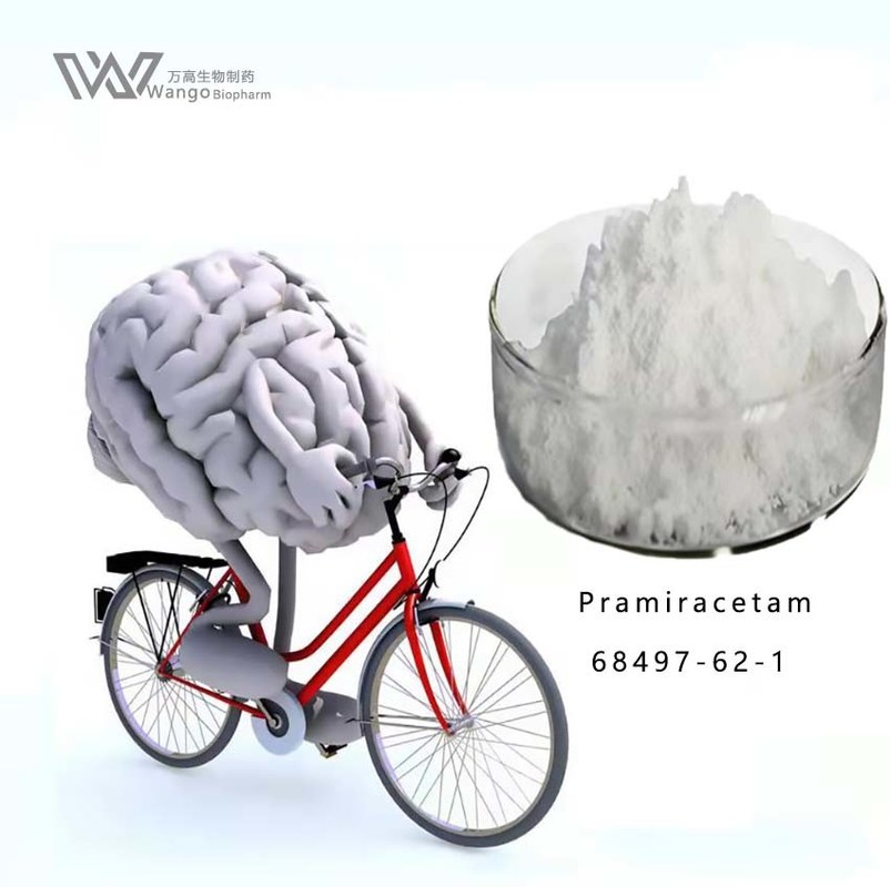 Pramiracetam 99% White Powder Nootropics Brain Supplement 68497-62-1