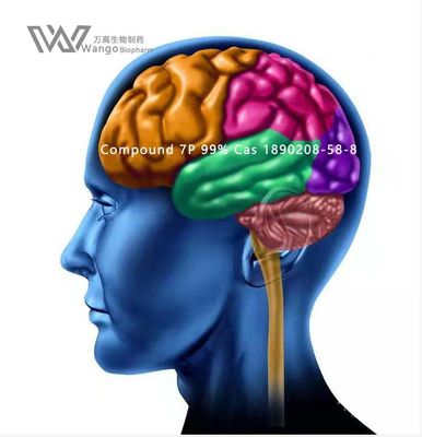 Pó branco de CAS 157115-85-0 Noopept GVS- 111 para Brain Improvement