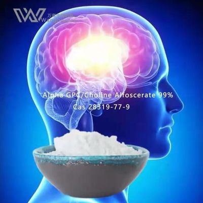Pós de maioria de Nootropics da HPLC, Alpha Gpc Acetylcholine 28319-77-9